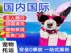 鄂伦春航空邮寄国际宠物托运 【国